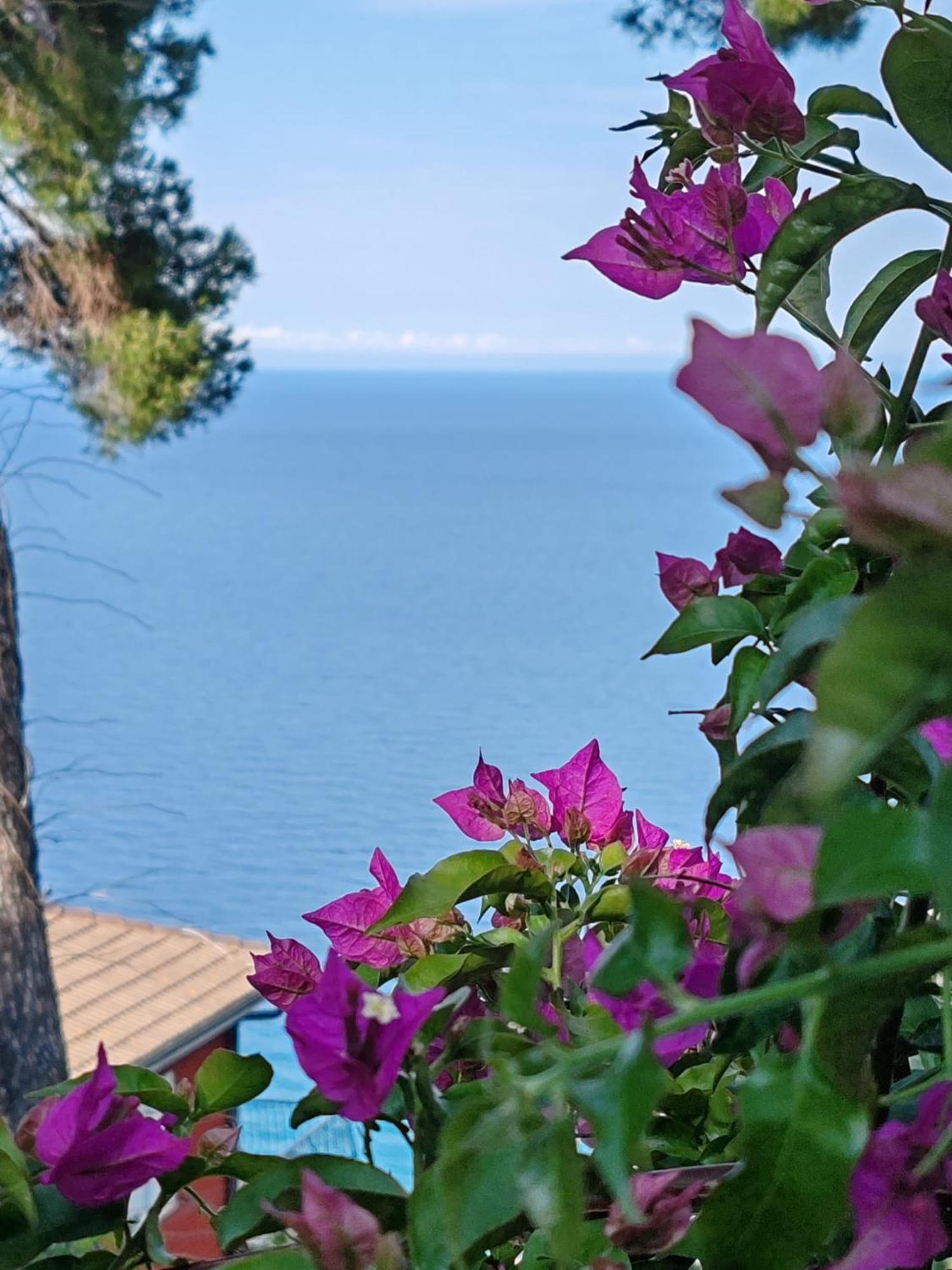 Appartamento Vista Mare Альбенга Экстерьер фото